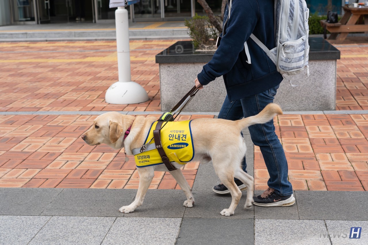 ▲用声音叫导盲犬的行为很容易导致导盲犬注意力的降低。如果在路上遇到导盲犬，请用眼睛和心为他们加油吧