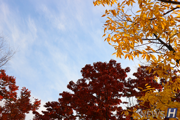 ▲ 붉게 물든 단풍과 함께 보는 가을 하늘은 아름답다.