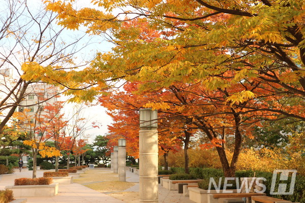 ▲ 백남학술정보관 앞 짧은 산책로의 전경이다. 산책로의 붉게 물든 나무들이 아름다운 풍경을 만든다.