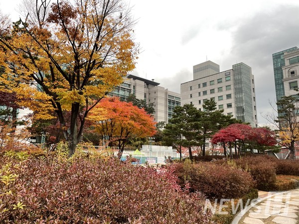 ▲ 여느 때와 같이 가을이 되자, 행원파크의 나무는 붉은색으로 물들었다. ⓒ 류서현 기자