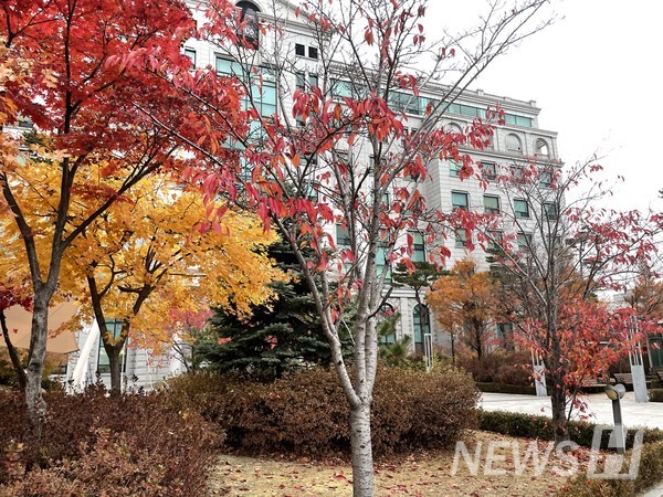 ▲ 이미 잎이 다 떨어진 나무는 곧 다가올 행원파크의 겨울을 생각하게 한다. ⓒ 류서현 기자
