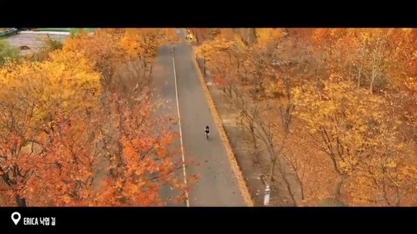 ▲ERICA 낙엽길 (출처: 한양대학교 ERICA 유튜브 채널)