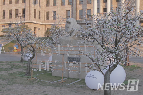 ▲ 사자상 앞에 'HANYANG UNIVERSITY' 문구 조명이 생겼다.
