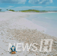 ▲ 하이토토사이트 케이 벳 in Okinawa (Japan) ⓒ김준희