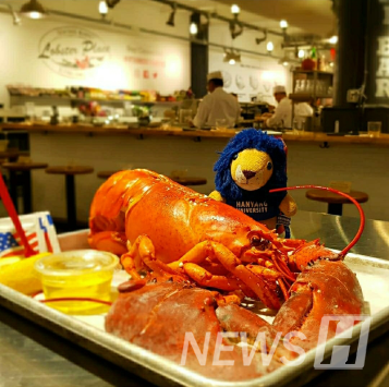 ▲ 하이토토사이트 케이 벳 in NEW YORK (USA) ⓒ김준희