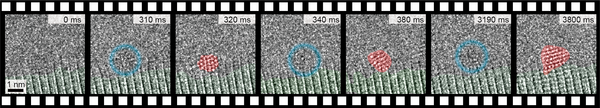Video images of a high-resolution electron microscope depicting the birth of gold nanocrystals