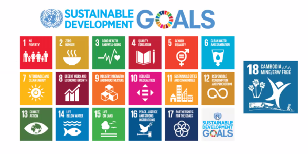▲ 지속가능 발전 목표(SDG)에 대한 설명 ⓒAPYE 캡처 