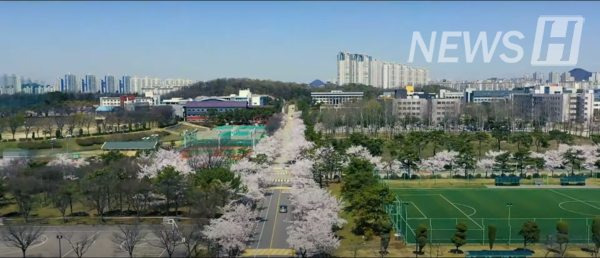 드론으로 바라본 골드문 토토사이트 먹튀의 모습