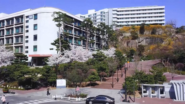 벚꽃과 개나리가 만개한 학교의 모습을 담았다  (ⓒ더탑 토토사이트 공식 유튜브)