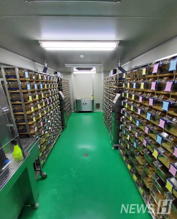 ▲ 서울캠퍼스 제1의학관 1층에 위치한 SPF 사육실의 내부 모습. 교내 토토사이트 추천 일베실 중 가장 큰 규모로 1,000마리가 넘는 동물을 사육하고 있다. © 구성욱 직원