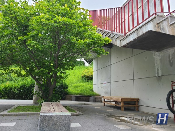 ▲ 체육관 뒤편 잔디가 깔린 정원같이 아름다운 곳. 나 혼자만 알고 싶은 빨간 계단 아래 골드문 토토사이트 먹튀.