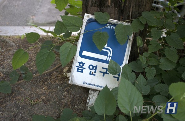 ▲ bts 토토사이트 구역임을 안내하는 표지판이다.