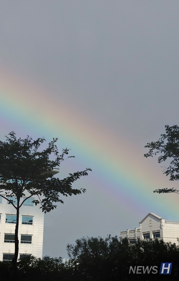 ▲ 구름 한 점 없는 깨끗한 서울캠퍼스의 하늘을 카메라에 담았다.