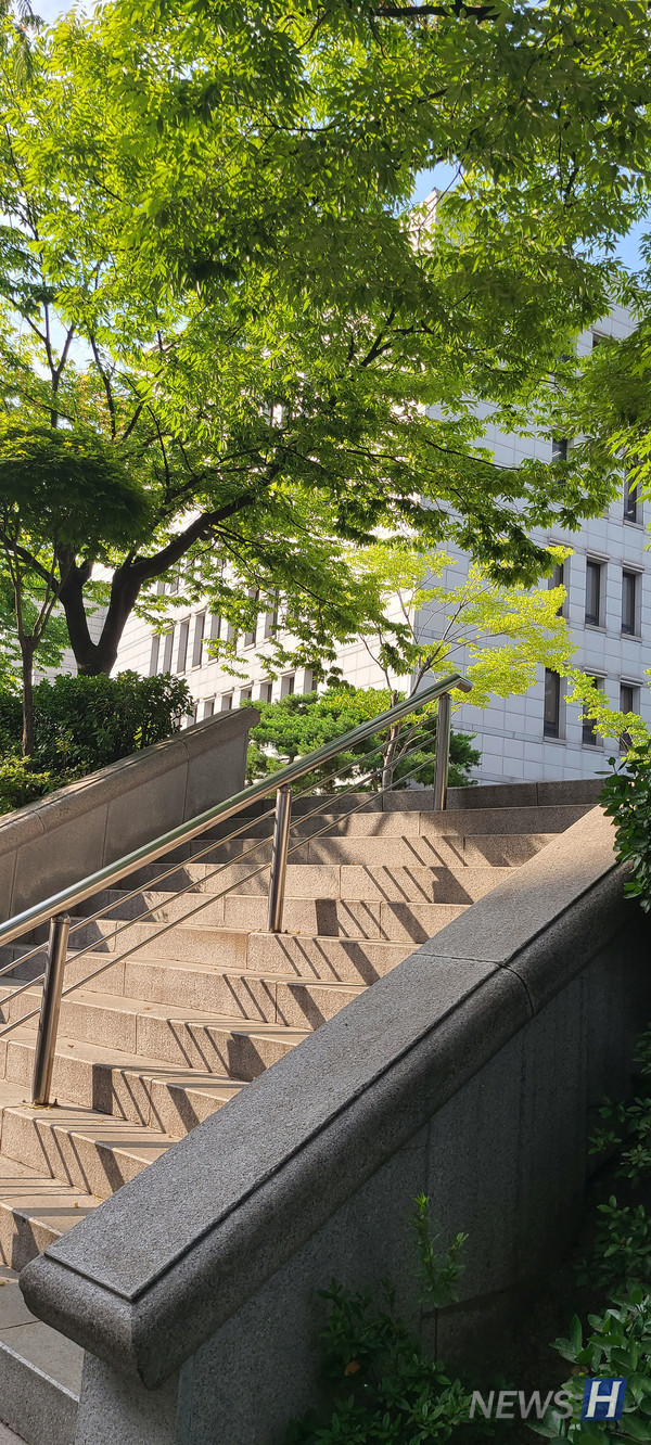 ▲ 한낮의 백남학술정보관 앞 계단엔 드리워진 나무 그림자가 보인다.