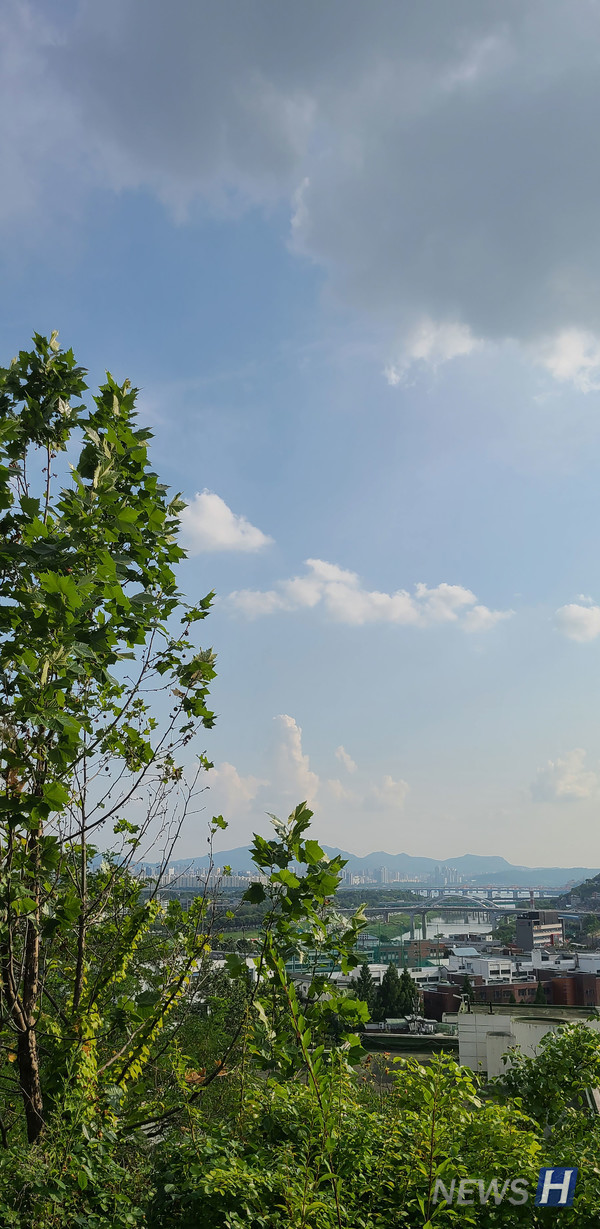 ▲ 인문대학관 가는 길, 한강이 내려다 보이는 여름 풍경이다.