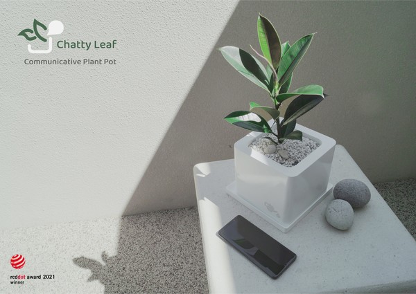 ▲ 발레리아 학생이 토토 사이트 추천 디시한 스마트 화분 '채티 리프(Chatty Leaf)' ⓒ 발레리아 데미도바