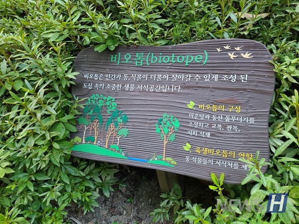 ▲ 토토사이트 로그인 없이 서울캠퍼스 미래교육관 앞에 위치한 비오톱 표지판이다.