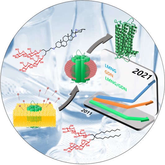 ▲ LMNG와 GDN을 통한 막단백질의 구조연구 모식도와 기여도. LMNG와 GDN은 지난 10년간 각각 302개, 196개의 막단백질 구조연구에 사용되었음. 이는 전체 막단백질 구조 연구의 1/5이상을 차지함.