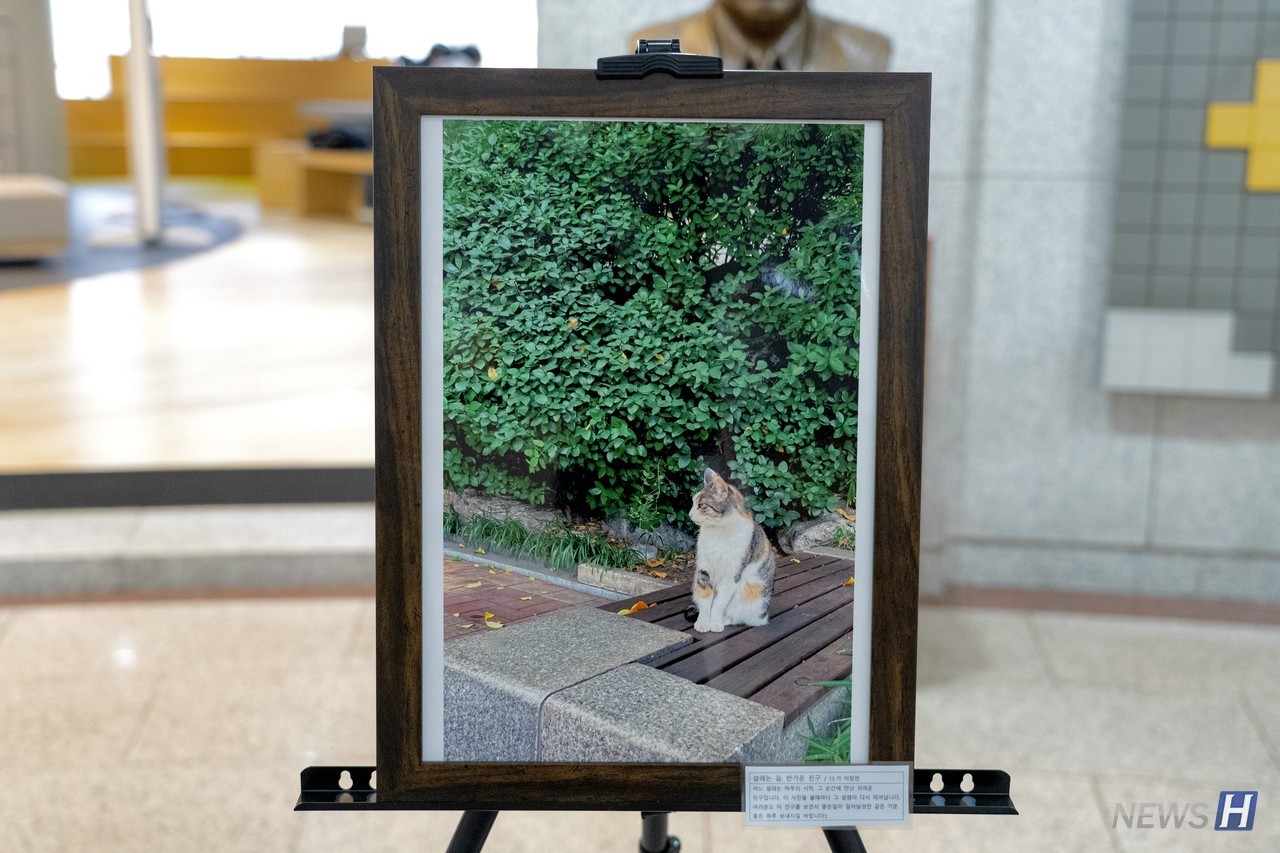 ▲ 13기 이창민 씨의 작품명 '설레는 길, 반가운 친구'.