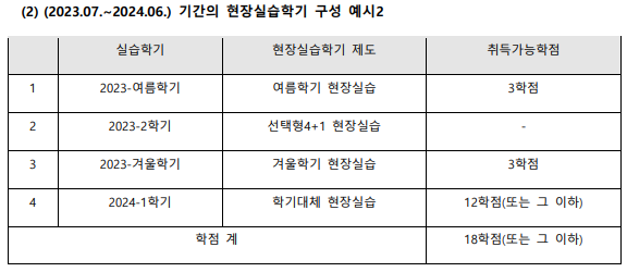 ▲ 국외 현장실습학기제에 따른 학점 구성 예시. 2번의 계절학기를 포함한 총 4번의 학기 내에서 18학점을 학기제 성격에 맞게 배분할 수 있다. ⓒ 한양대 현장실습지원센터