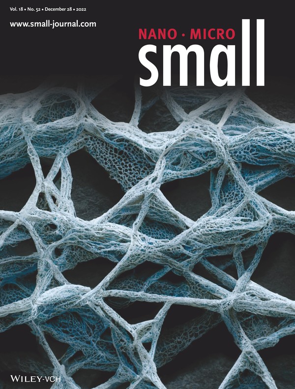 Cover paper of journal "Small" 
