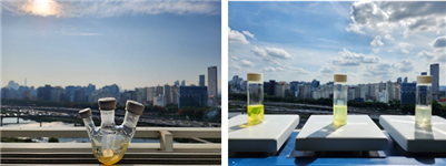 Evaluation of hotocatalytic property using natural sunlight.