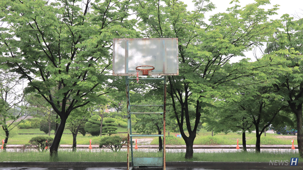 ▲ 디자인대학 건물 뒤에 설치된 농구대.