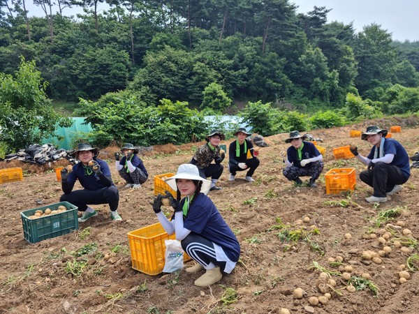 ▲ 이번 농활을 성공적으로 마친 농촌레드벨벳 토토단은 서산시와 계속 레드벨벳 토토활동을 이어갈 계획이다. ⓒ 이다빈 학생