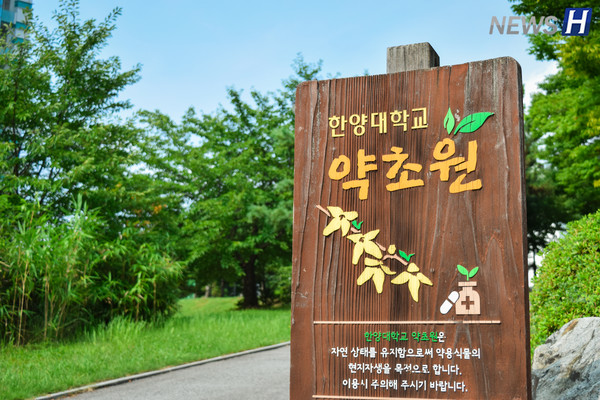 ▲ 노천극장 좌측 약초원 입구 팻말을 확인할 수 있다.