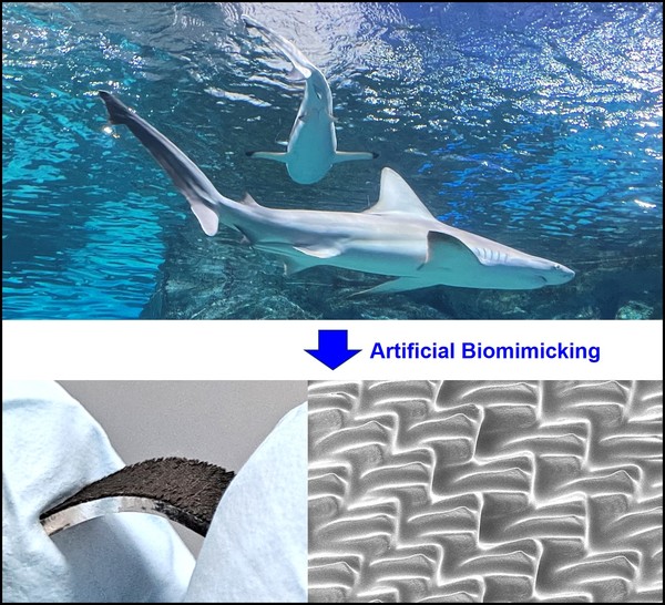 Developing a multifunctional 3D microtexture surface inspired by shark scales, a study was presented at the prestigious international academic conference "Advanced Materials."