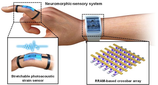 [Figure 2] A schematic diagram of the neuromorphic sensory system that a co-research team of Hanyang University and Sungkyunkwan University created. (The image is from Professor Park Hui-joon of Hanyang University.)