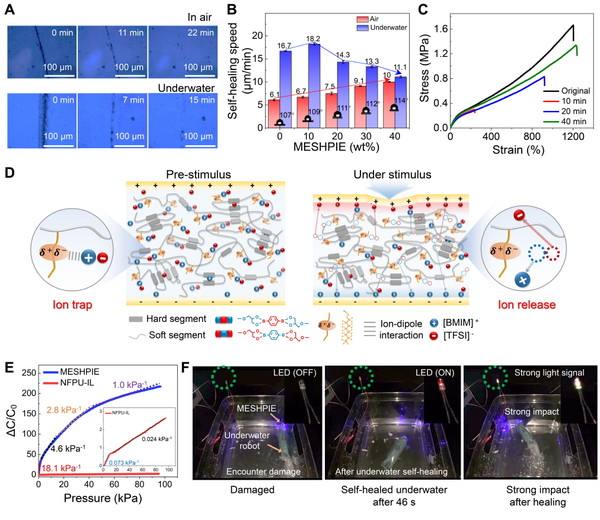 [Figure 2] A piezo-electric ionic elastomer that can heal itself at high speed in an 토토사이트 롤링 environment and its (A) self-healing process over time, (B) self-healing speed evaluation, (C) self-healing efficiency 토토사이트 롤링 evaluation, (D) a schematic diagram of external stimuli detection, (E) responsiveness comparison to pressure of existing ionic materials and piezo-electric ionic elastomers, (F) visual realization of ultra-fast self-healing and sensing functions in 토토사이트 롤링 environments combined with piezoelectric ion elastomers and LED circuits