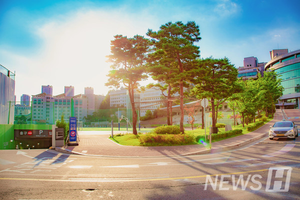 ▲ 다운로드 링크는 8월까지 제공되며 기사 본문에서 못 다룬 사진들도 포함한다.