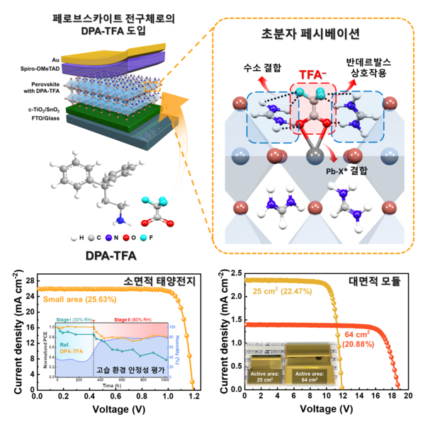 (위) DPA-TFA 도입 및 초분자 페시베이션 모식도. (아래) 소면적 태양전지 및 대면적 모듈 전류밀도-전압 그래프