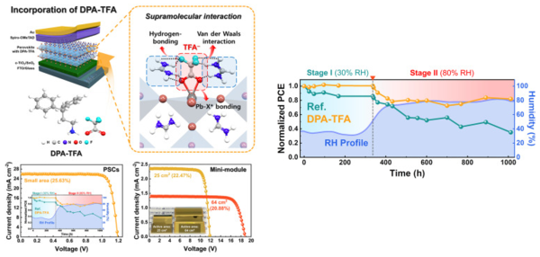 ▲ The 토토사이트 클럽비 cell device using the supramolecular passivation strategy remains stable in an environment with high humidity, making it a step closer to commercialization. ⓒ Professor Choi Hyo-sung