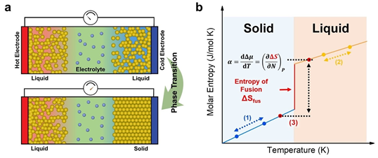 Operating Principles of High-Efficiency Thermogalvanic Cells Based on Phase Transition