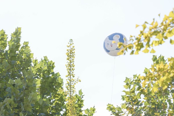 지난 30일부터 2일까지 2024 한양대학교 ERICA 가을 축제 'HYRICA : FALL:ING'이 열렸다.