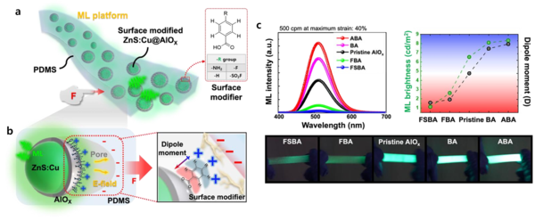(a) Explanation of the basic structure of the 토토사이트 운영자 검거-modified mechanoluminescent platform (b) Process of activating triboelectric effects at the interface between AlOx and PDMS (c) Mechanoluminescent performance according to dipole 토토사이트 운영자 검거 modifiers