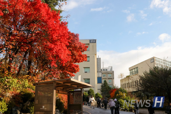 하이 로우 토토 사이트