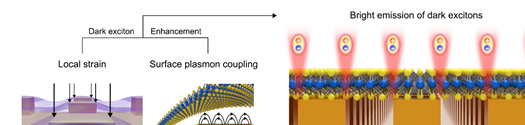 국소적인 스트레인과 표면 플라즈몬 결합이 만들어낸 상온 대면적 다크 카지노 토토 발광