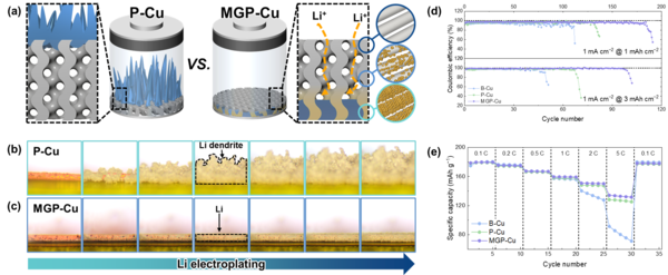 (a) Schematic diagram of the multidimensional current collector with gradient seed, Comparison of 토토사이트 바코드 deposition between (b) regular multidimensional current collector and (c) multidimensional current collector with gradient seed, Comparison of (d) battery lifespan and (e) the rate capability performance by current collectors