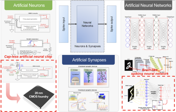 ▲ Professor Park's research team studied capacitorless artificial neurons and synapses, as well as spiking neural networks (SNN) to solve the shortcomings of the previous research. ⓒ Park Jin-sub