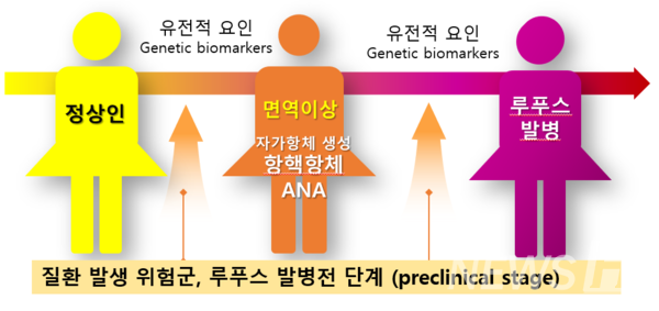 ▲ 배 슬롯사이트 볼트카지노메이저는 연구를 위해 건강한 사람, 자가항체 양성인, 루푸스 환자를 대상으로 유전체 연관 분석을 수행했고, 유의미한 연구 결과를 얻었다. ⓒ 배상철 슬롯사이트 볼트카지노메이저