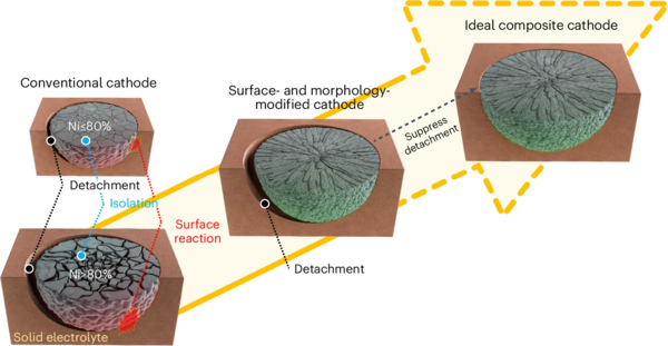 Schematic illustration of the degradation mechanisms in all-solid-state batteries and the forever 토토사이트 material development strategy to overcome them
