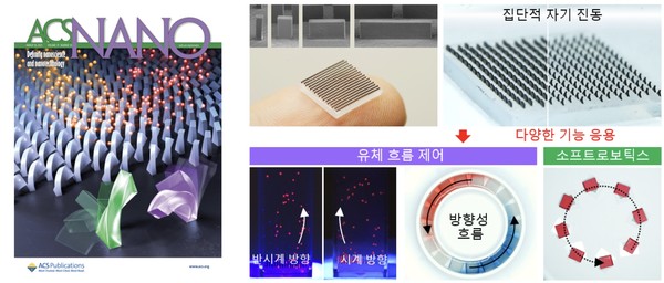 (왼쪽부터) 미국 국제 학술지 ‘ACS Nano’의 3월호 속표지 사진, 초소형 미세구조 배열의 집단적 자기 진동 및 다양한 기능 응용