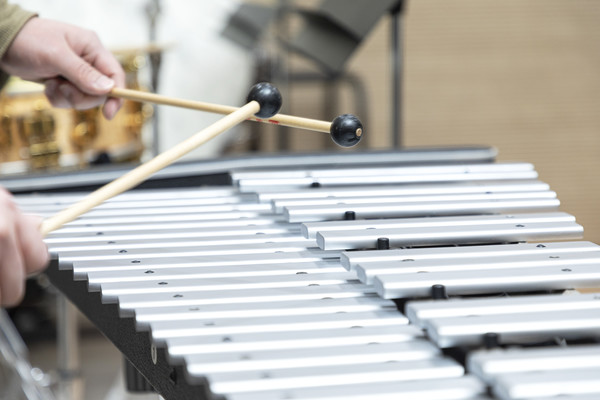 With musicians with developmental, hearing, and visual impairments, the Gyeonggi Libera 토토사이트 설탕 creates a profoundly moving harmony simply by existing.