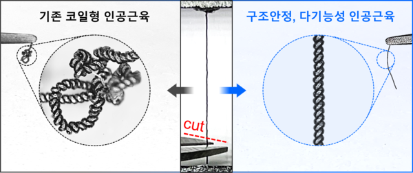 구조안정, 다기능성 물 구동 인공근육 모식도