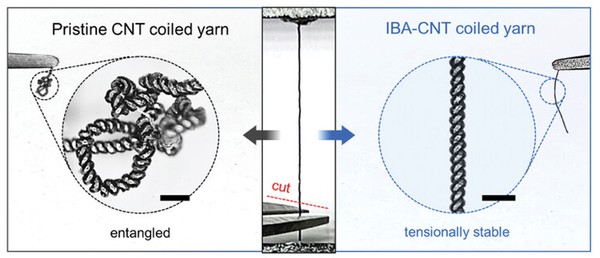 ▲Conceptual illustration of structural stability and multifunctionality in water-driven artificial muscles