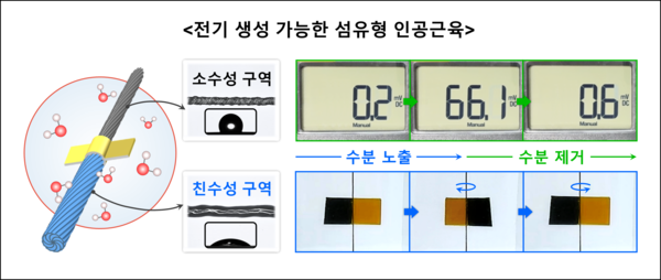 비대칭 구조 기반 전기 생성이 가능한 섬유형 인공근육 모식도