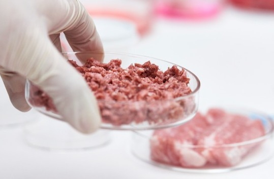 ▲ 近年来,人们对替代肉、藻类食品、昆虫食物、陆上养殖、植物工厂等可持续未来食品的关注不断上升。ⓒ Getty Images